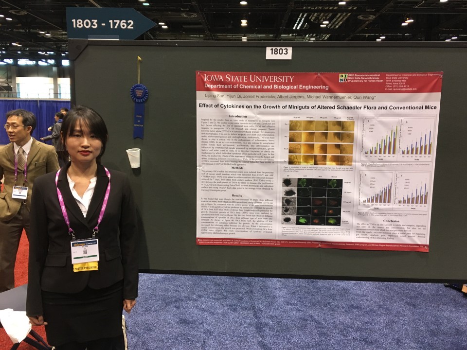 Poster of Distinction of DDW 2017